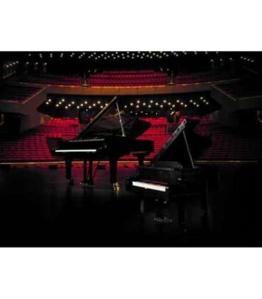 LEGO IDEAS 21323 GRAND PIANO