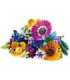 LEGO ICONS 10313 WINDFLOWER BOUQUET