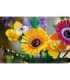 LEGO ICONS 10313 WINDFLOWER BOUQUET