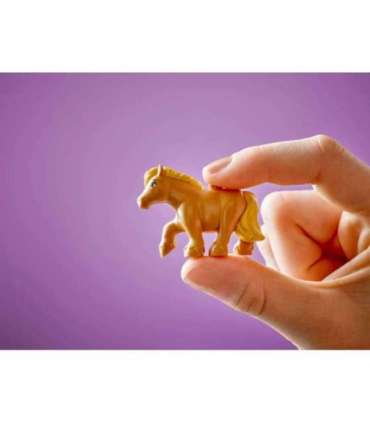 LEGO FRIENDS 42654 Pony Ranch & Stable