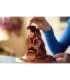 LEGO HARRY POTTER 76429 Talking Sorting Hat