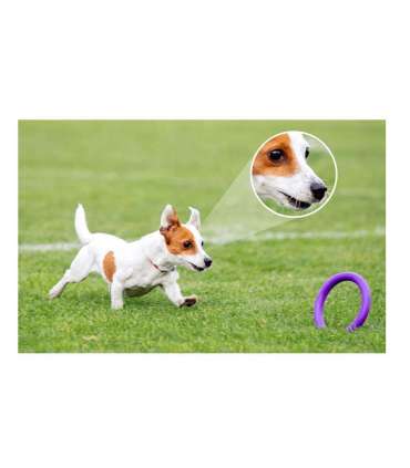 Imou IP Bulb Cam 5MP IPC-S6DP, 5 MP (2880 x 1620)