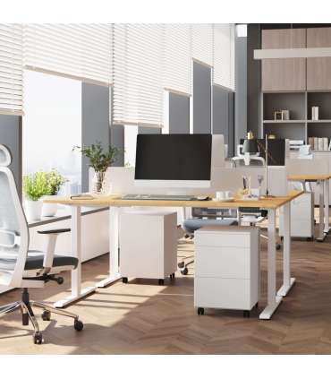 Töölaud ERGO FIT 1-motoriga 120x68xH71,5-116cm, valge