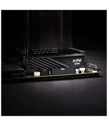 ADATA Lancer Blade memory module 32 GB 2 x 16 GB DDR5 6000 MHz ECC