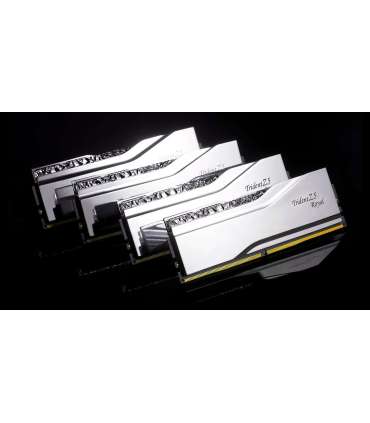 G.Skill Trident Z5 Royal F5-6800J3446F48GX2-TR5S memory module 96 GB 2 x 48 GB DDR5 6800 MT/s
