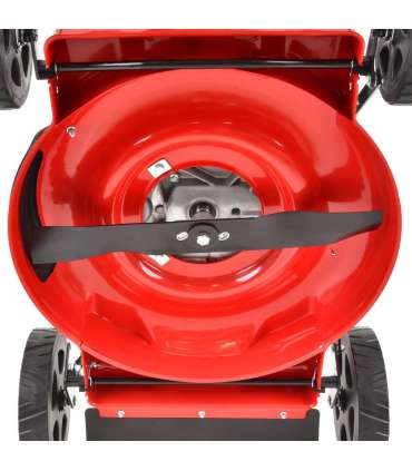 Muruniiduk HECHT 5511 C