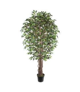 Kunstpuu WIND FICUS H210cm