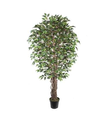 Kunstpuu WIND FICUS H210cm