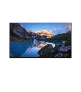 Dell UltraSharp 24 Monitor - U2424H without stand, 60.47cm (23.8")