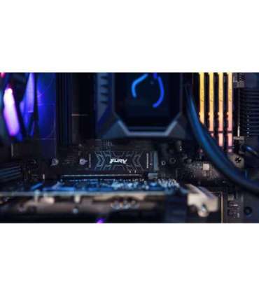 Kingston Technology 2000G FURY RENEGADE M.2 2280 NVMe SSD