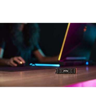 Kingston Technology 2000G FURY RENEGADE M.2 2280 NVMe SSD