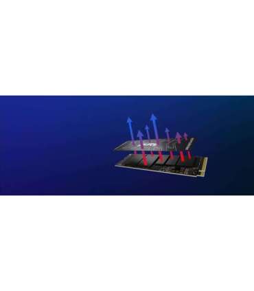 Kingston Technology 2000G FURY RENEGADE M.2 2280 NVMe SSD