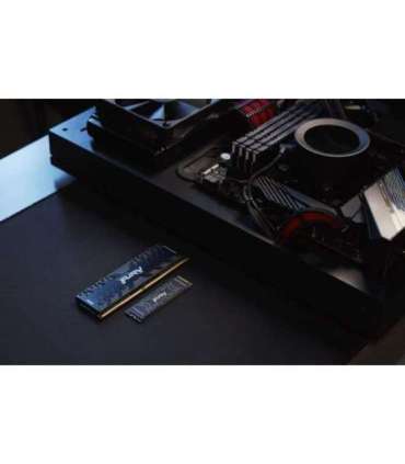 Kingston Technology 2000G FURY RENEGADE M.2 2280 NVMe SSD