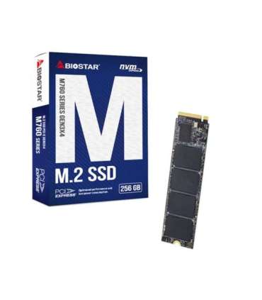 SSD Biostar M760 256GB