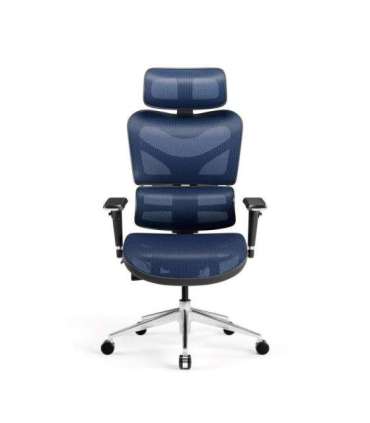 Diablo V-COMMANDER Office armchair Black, Blue