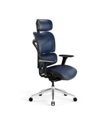Diablo V-COMMANDER Office armchair Black, Blue