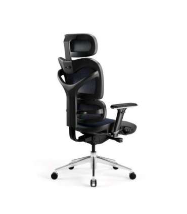 Diablo V-COMMANDER Office armchair Black, Blue