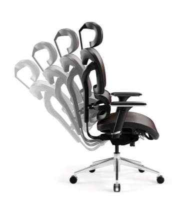 Diablo V-COMMANDER Office armchair Black, Burgundy