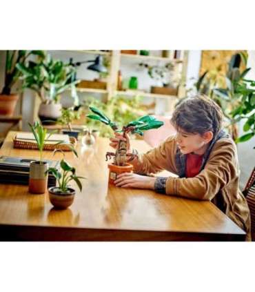 LEGO HARRY POTTER 76433 Mandrake