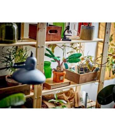 LEGO HARRY POTTER 76433 Mandrake