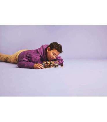 LEGO HARRY POTTER 76442 Hogwarts Castle - Charms Class