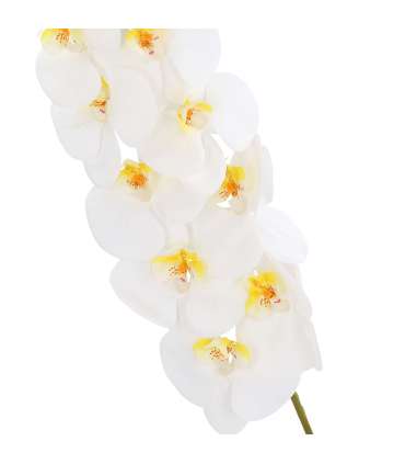 Orhidee IN GARDEN H92cm, valge phalaenopsis