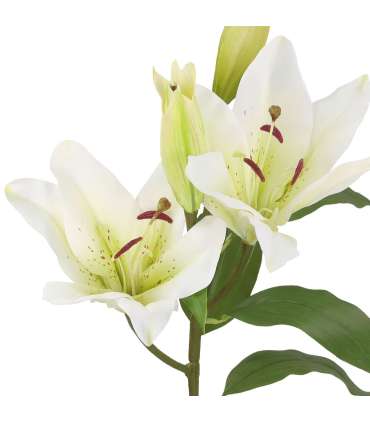 Kunstlill IN GARDEN H75cm, valge liilia