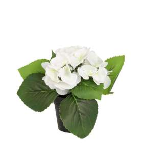 Kunstlill IN GARDEN H18cm, valge hortensia potis