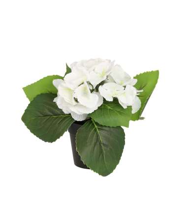 Kunstlill IN GARDEN H18cm, valge hortensia potis