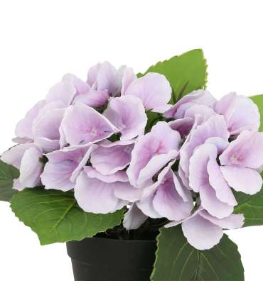 Kunstlill IN GARDEN H18cm, lilla hortensia potis