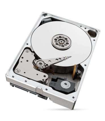 Seagate IronWolf Pro internal hard drive 10 TB 256 MB 3.5" Serial ATA III (ST10000NT001)