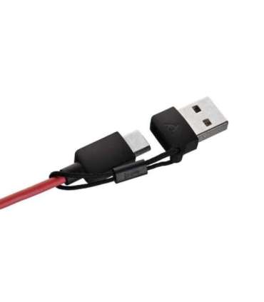 Poly Blackwire 3220 Stereo USB-C Headset +USB-C/A Adapter (Bulk)