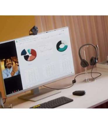 Logitech H390 USB Computer Headset