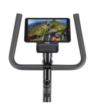 RW3011 must treeningratas One Fitness