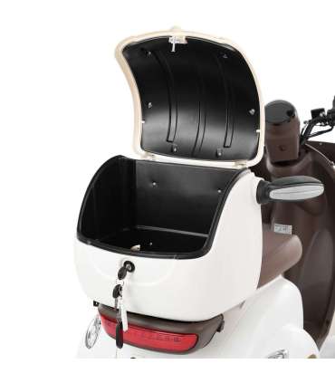 Neljarattaline elektriroller HECHT ELEGANTE