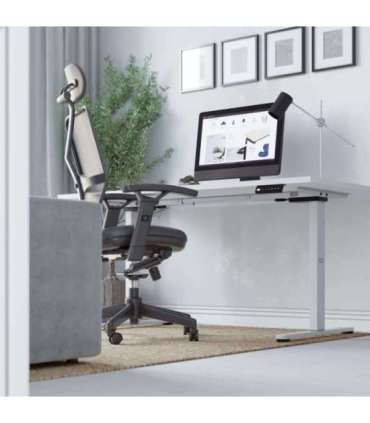 Xeno 4.5 White electric bed frame