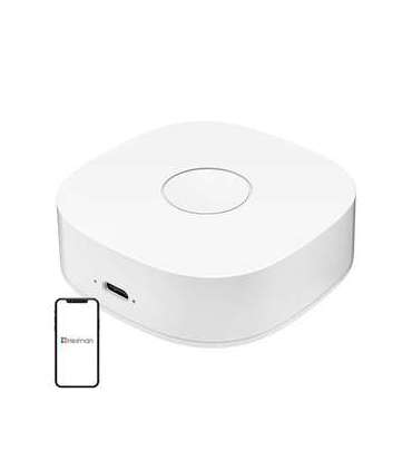 Smart home WS2GW-R WiFi