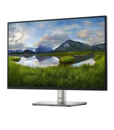 Dell 24 Monitor - P2425, 61cm (24.0")