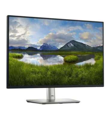 Dell 24 Monitor - P2425, 61cm (24.0")
