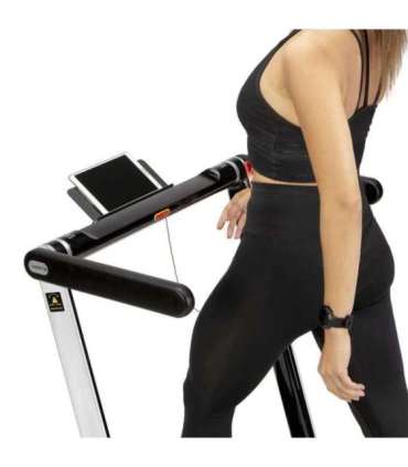 ЭЛЕКТРИЧЕСКАЯ БЕЖЕВАЯ ДОРОЖКА LOOP12 MULTI СЕРЫЙ С ТАБЛИЦЕЙ HMS