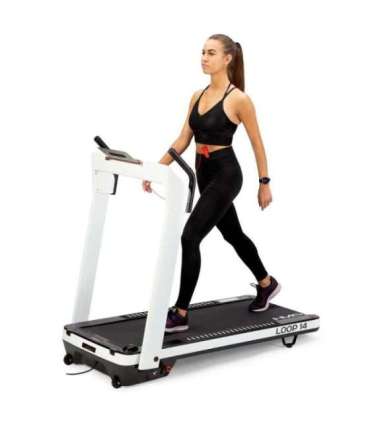 LOOP14 ЭЛЕКТРИЧЕСКАЯ БЕГОВАЯ ДИСКА HMS ПЛОХАЯ