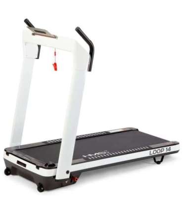 LOOP14 ЭЛЕКТРИЧЕСКАЯ БЕГОВАЯ ДИСКА HMS ПЛОХАЯ