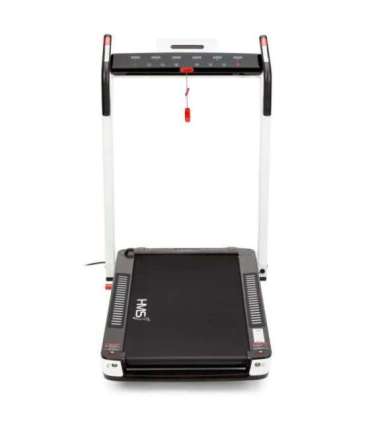 LOOP14 ЭЛЕКТРИЧЕСКАЯ БЕГОВАЯ ДИСКА HMS ПЛОХАЯ