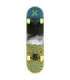 CR3108SA BRAIN SKATEBOARD NILS EXTREME