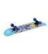 CR3108SA GRAVITY SKATEBOARD  NILS EXTREME