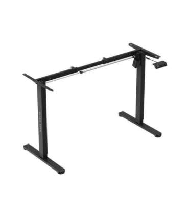 Xeno 2.1 Electric Bas