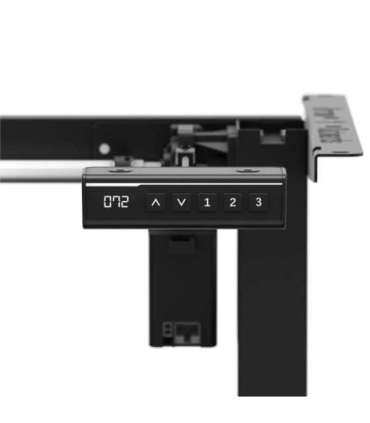 Xeno 2.1 Electric Bas