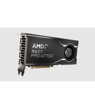 AMD Radeon PRO W7700 16 GB GDDR6 100-300000006