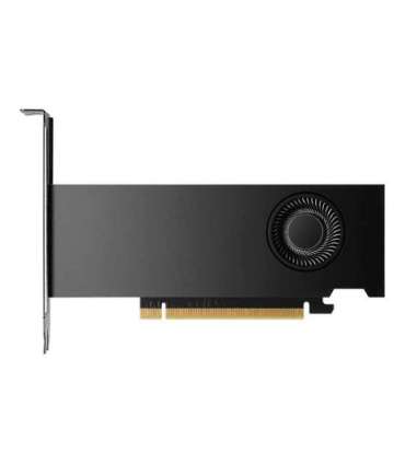 PNY NVIDIA RTX 2000 Ada Generation 16 GB GDDR6