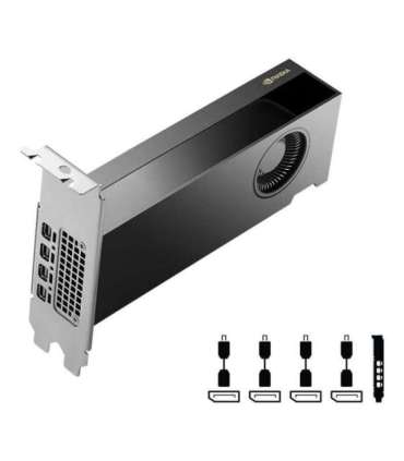 PNY NVIDIA RTX 2000 Ada Generation 16 GB GDDR6